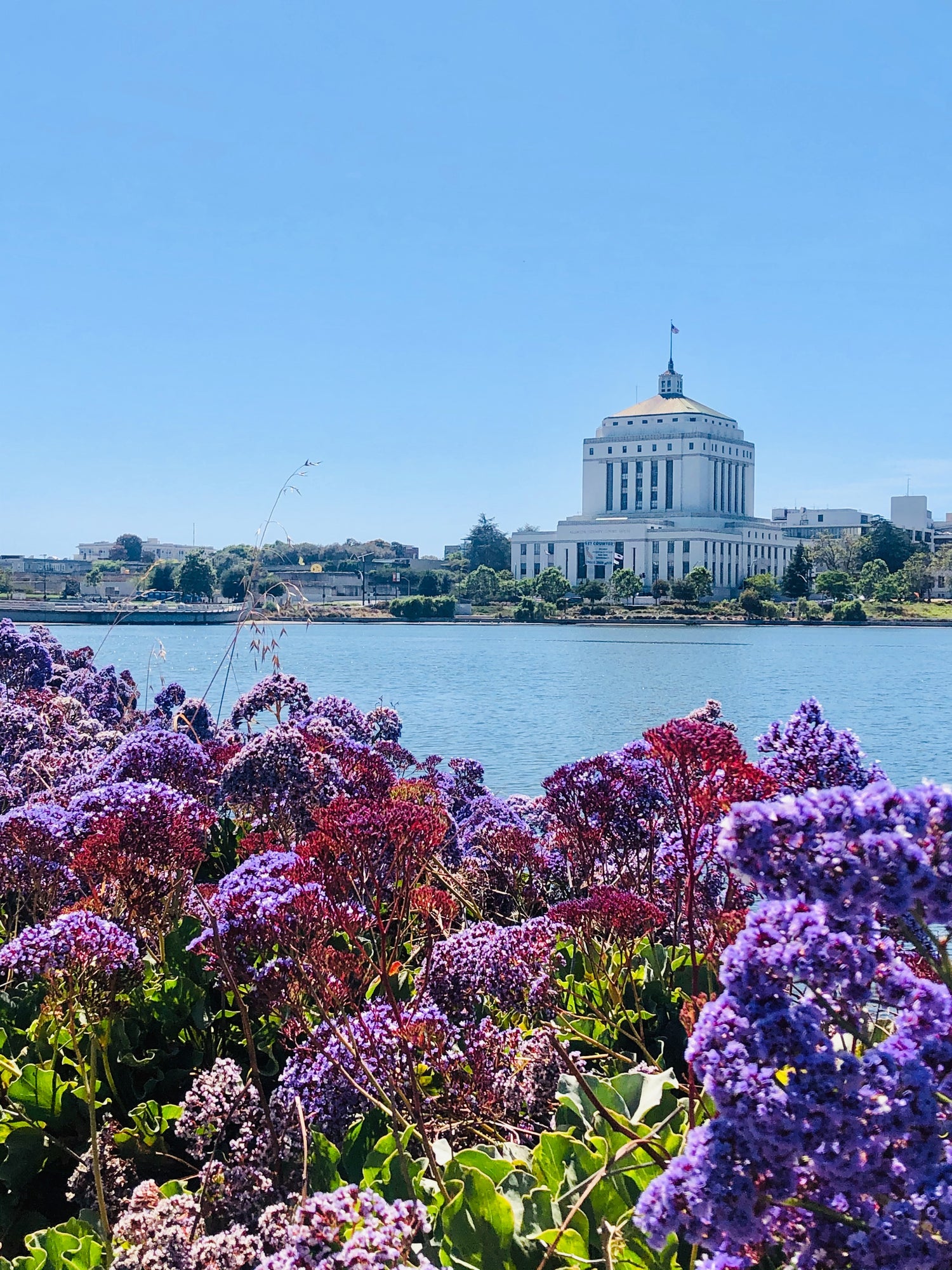Photo of court house from across Lake Merritt Oakland