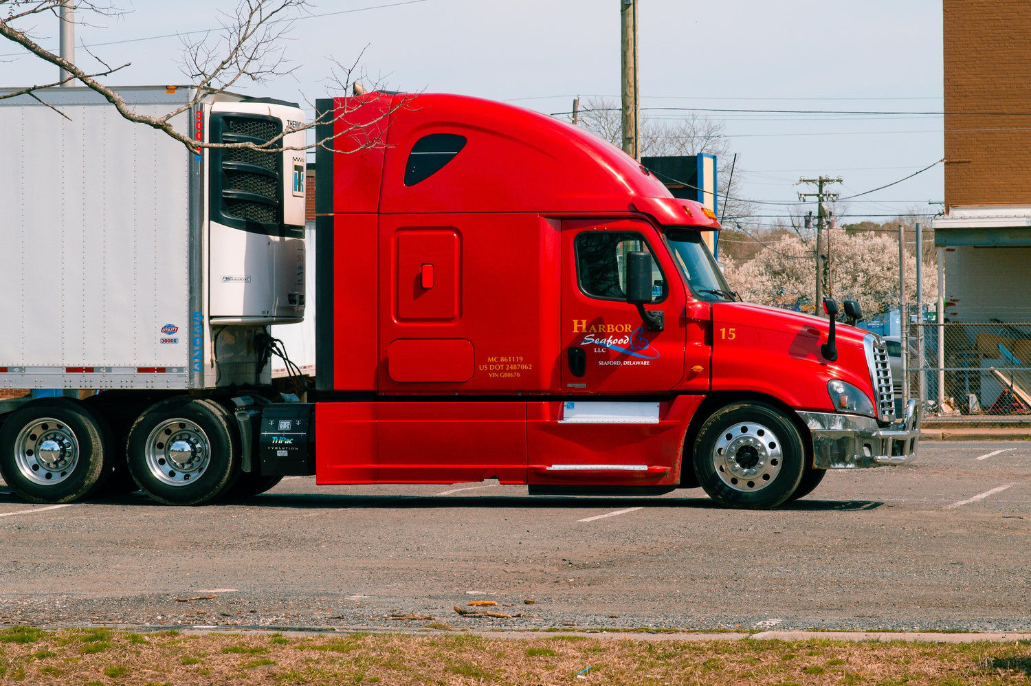 Parked red semi-truck and trailer in parking lot.