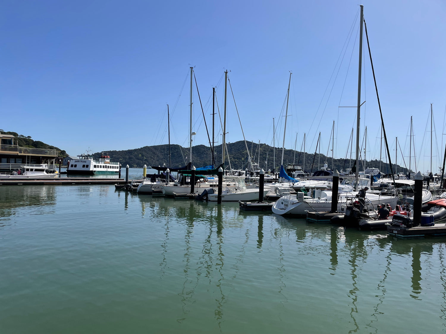 Marina at Tiburon 